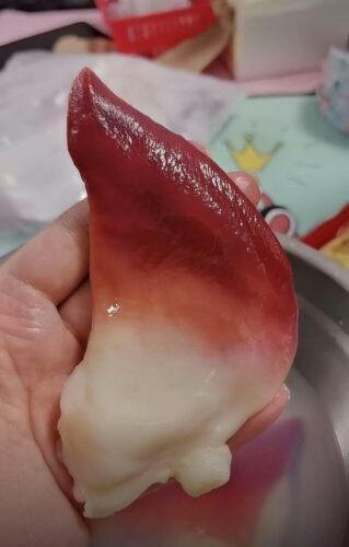 Extra Large Sashimi-Grade Arctic Surf Clam photo review